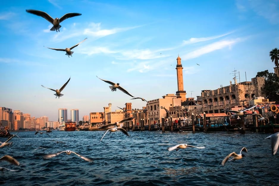 Dubai Creek with seagulls over traditional dhows and historic buildings, contrasting with the modern skyline under a blue sky.
