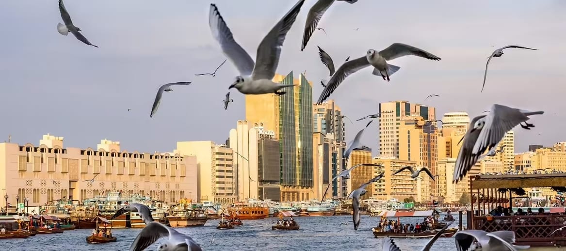 Traditional boats and flying seagulls along Dubai Creek with Deira’s skyline at sunset in the background.
