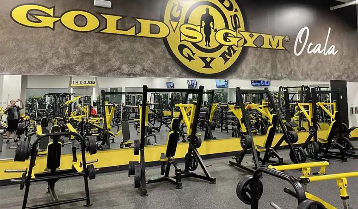 Gold’s Gym Dubai interior featuring yellow and black strength machines, weight benches, and mirrors in 2025.