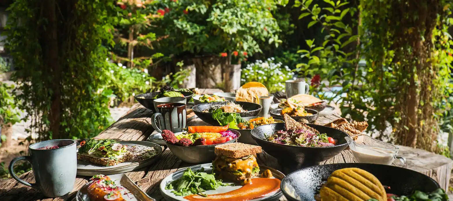 Outdoor healthy breakfast spread with vegan dishes, fresh greens and drinks at Seva Table Dubai garden