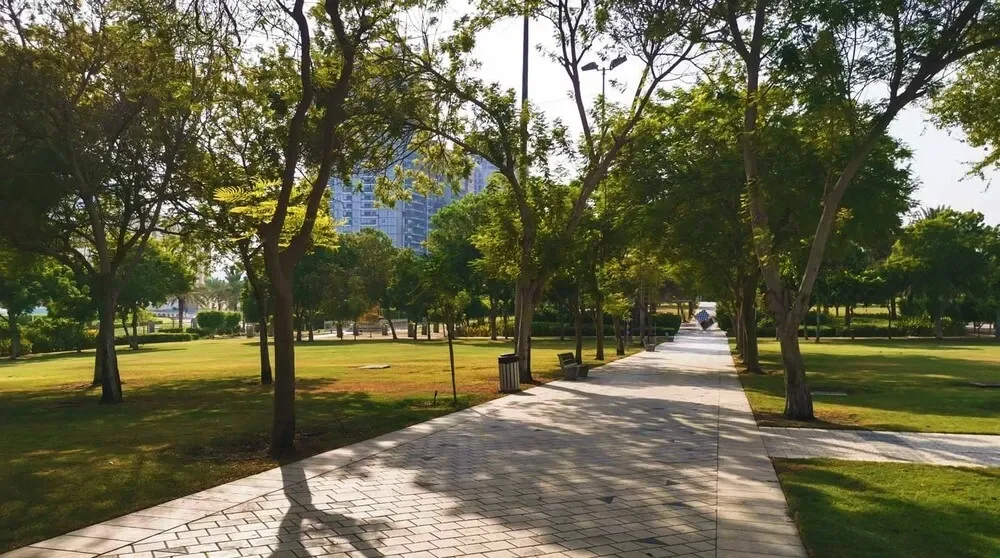 Tree-lined walking path in a public park in Dubai, a peaceful and free outdoor activity for tourists in 2025