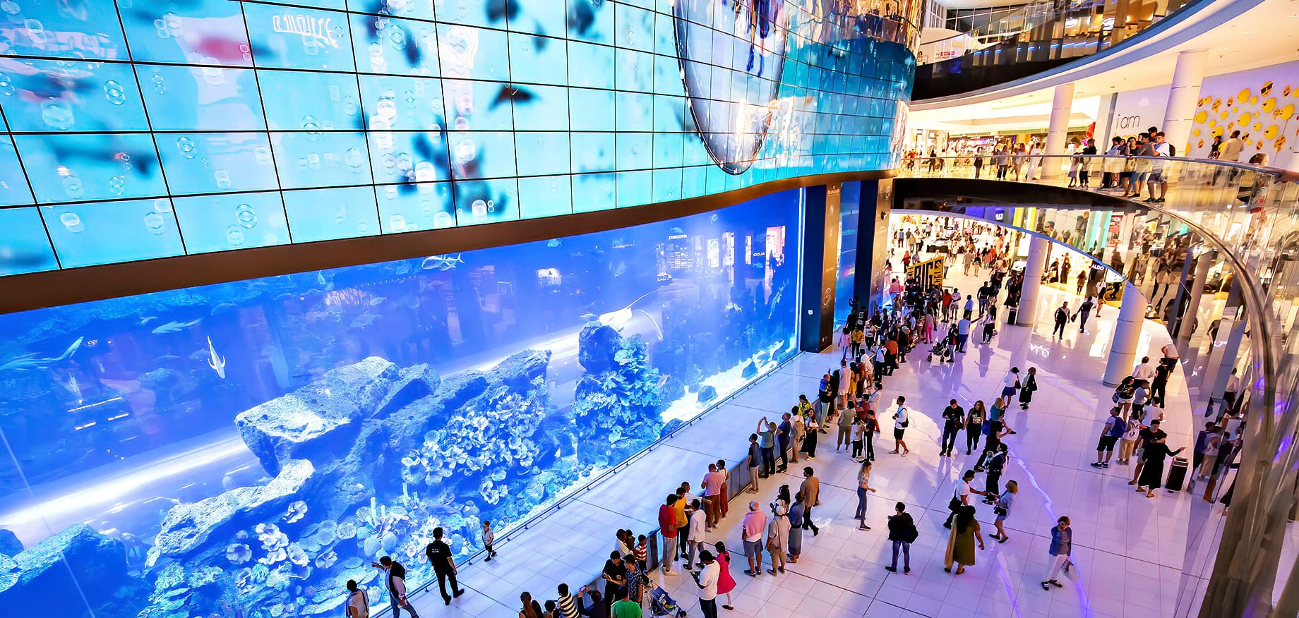 Visitors at Dubai Aquarium in The Dubai Mall – a must-see attraction during a layover in Dubai 2025