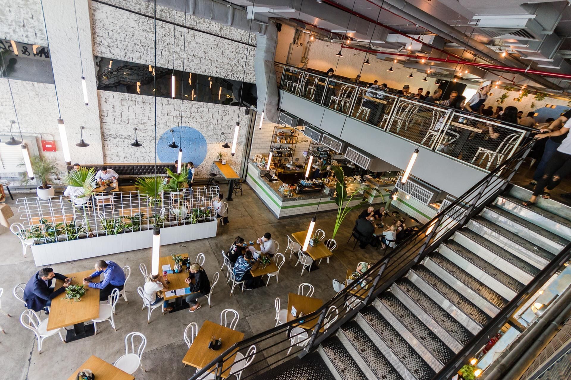 Modern coffee shop in Dubai showcasing the vibrant café culture and social coffee gatherings.