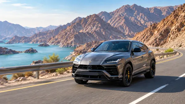 Dubai to Hatta Road Trip: A Complete Driving Guide